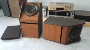 Loa Bose 4.2 trơn