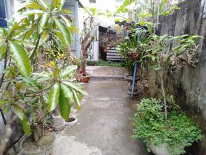 Bán Nhà Đẹp Giá Rẻ Kiệt Nguyễn Chí Thanh