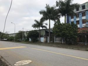 Bán đất mt Nguyễn Thị Nho , Long An , Shr