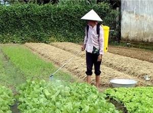 Bình xịt điện KCT 18D (18 lít)