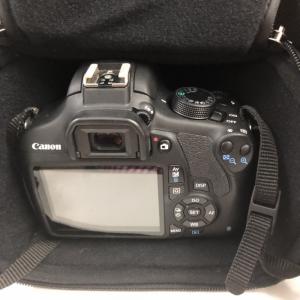Bán máy ảnh Canon EOS 1200D nữ dùng full phụ kiện, mới 90%