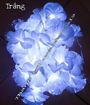 Hoa cước led phát sáng