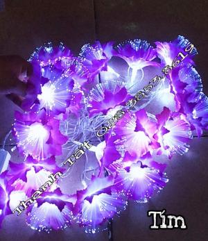 Hoa cước led phát sáng