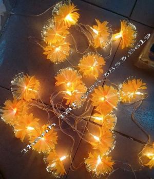 Hoa cước led phát sáng