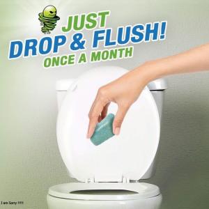 Men vi sinh phân hủy hầm cầu bể phốt