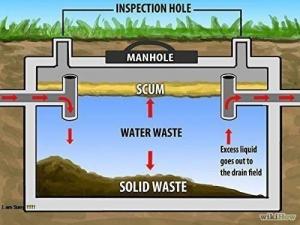 Men vi sinh phân hủy hầm cầu bể phốt