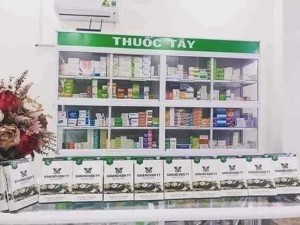 Sâm Bổ Kiện Tỳ