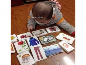 Bộ Thẻ Học 16 chủ đề thông minh cho bé