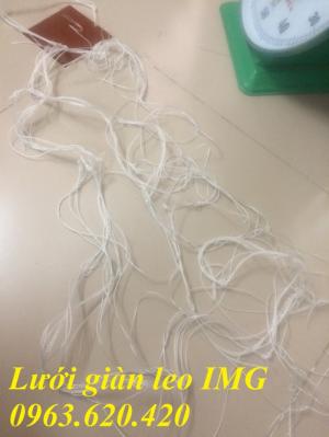 Lưới cước giàn leo IMG 005