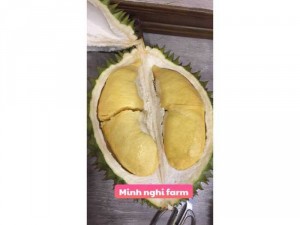 Sầu Riêng Minh Nghi Store Bao NGON, SẠCH