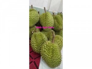 Sầu Riêng Minh Nghi Store Bao NGON, SẠCH
