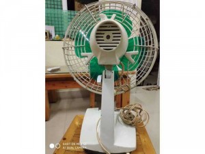 Quạt Nhật nội địa