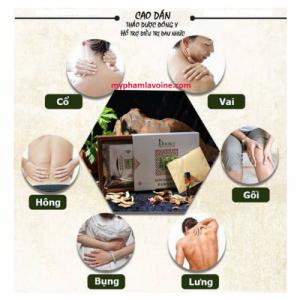 Hỗ trợ điều trị các bệnh xương khớp