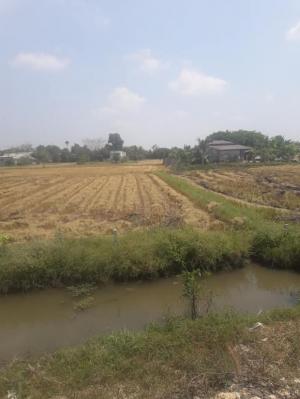 Chính Chủ Cần Bán 5200m2 ,1000m2 thổ cư Trần Văn Giàu,Phạm Văn Hai,Bình Chánh