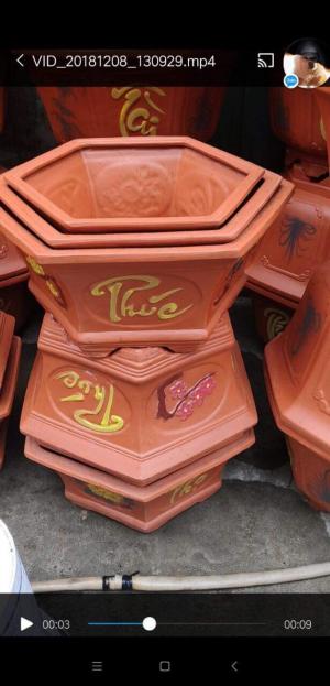 Chậu sứ chậu kiểng