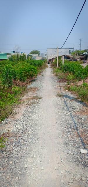 Bán Lô Đất 1000m2 Vị Trí Đẹp, Giá Rẻ Nhất Khu Vực.