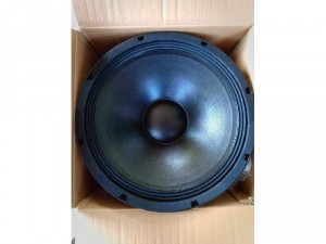 Loa Line Array, bass từ neo coil 75