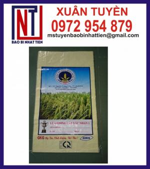 Bao PP dệt đưng lương thực thực phẩm