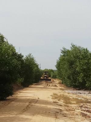 Bán Đất Ven Biển Bình Thuận Giá Rẻ Đầu Tư 1000m2.