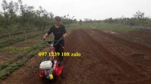 Máy xới đất, làm cỏ, lên luống Honda chính hãng, giá phải chăng