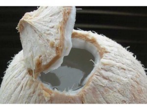 Kem chuối + rau câu trái dừa