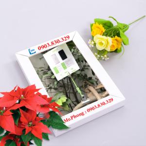 Combo 10 Kẹp 2 Đầu, Kẹp Quảng Cáo, Kẹp Khuyễn Mãi, Kẹp Treo Bảng Giá, Kẹp Lò Xo, Kẹp Wobbler, Kẹp Bảng Giá, Kẹp Menu Bảng Giá, Kẹp Quảng Cáo