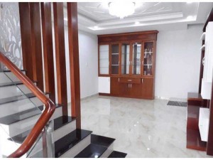 Nhà phố cao cấp Hẽm 111 Đường số 8, P11, Gò Vấp