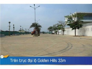 Bán nhanh lô mặt tiền đường 33m, đối diện Vincom Liên Chiểu Đà Nẵng