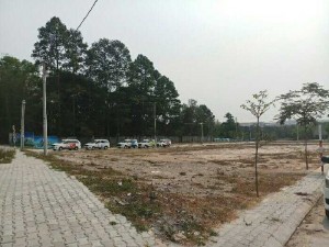 Đầu tư + lợi nhuận hoặc xây nhà