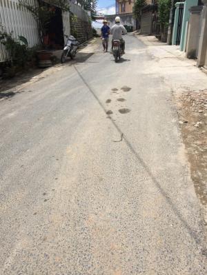 Đất trung tâm giá trung tầm