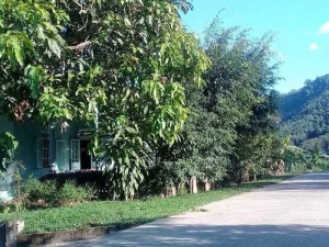 Cần bán gấp nhà và 6000m đất ở huyện Đạ Tẻh
