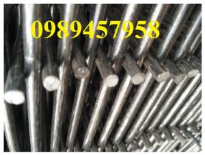 Lưới thép hàn phi 10 ô 200x200
