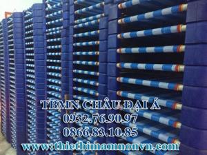 Giường mầm non