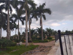 Đất nền Phước Thái, Tam Phước, SHR, mặt tiền ql51, nhận sổ ngay