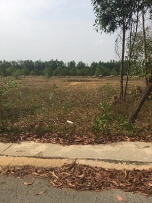 Chính Chủ Cần Bán 300m2 Đất Thổ Cư Có Shr