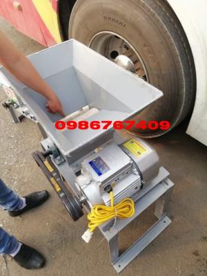 Máy xay nghệ tươi mini
