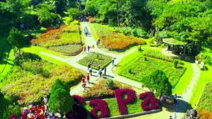 Vé xe giường nằm đi Sapa