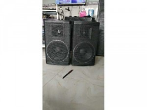 Loa bass 30