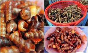 Xuýt xoa ốc điếu xào me