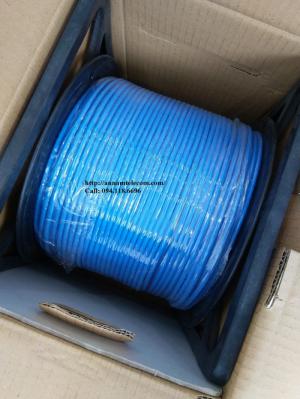 Cáp mạng Cat6 UTP