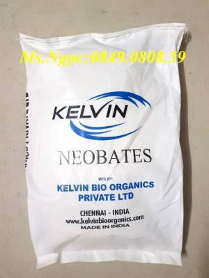 NEOBATES__ Enzyme cắt tảo, enzyme xử lý nước