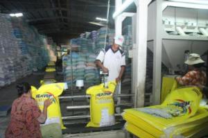 bao bì gạo xuất nhập khẩu 10lbs, 50lb, 100lbs