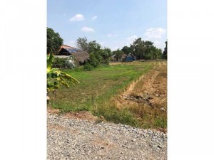 Bán đất giá rẻ