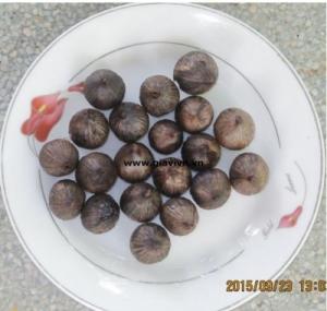 Tỏi Đen Việt Nam (1100k/kg)