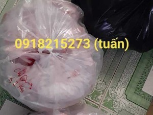 Thịt thỏ sạch sĩ và lẻ tại tphcm