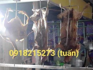 Thịt thỏ sạch sĩ và lẻ tại tphcm