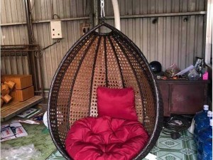 Xích đu đồng tiền đôi