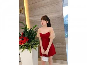 Đầm suông phối lưới bi kèm belt sang