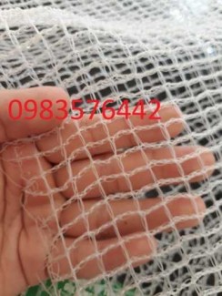 Lưới Nông Nghiệp Ô Vuông