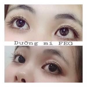 THUỐC DÀI MI-FEG
